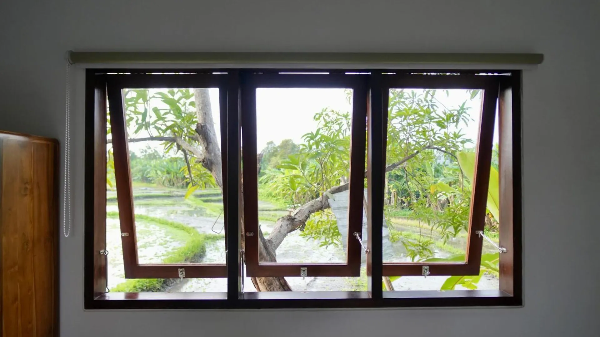 Villa In Seminyak Villa Mitra Dua Ricefield View Relax Kerobokan  Kerobokan (Bali)