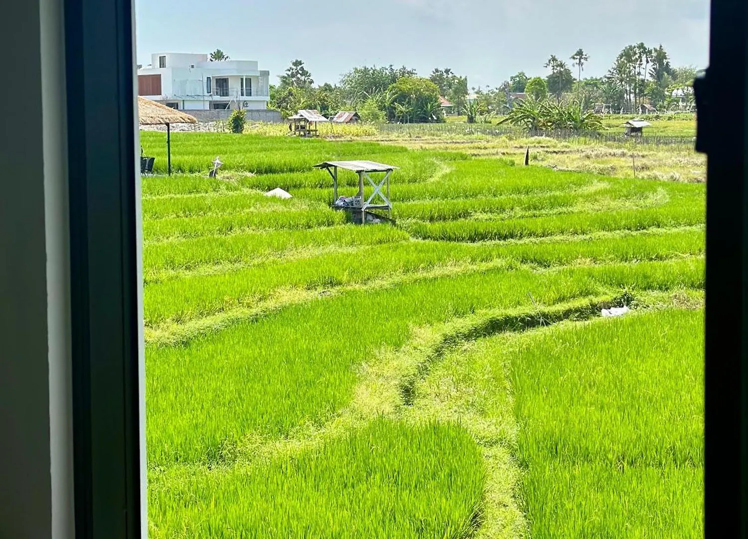 Villa In Seminyak Villa Mitra Dua Ricefield View Relax Kerobokan  0*, Kerobokan (Bali)