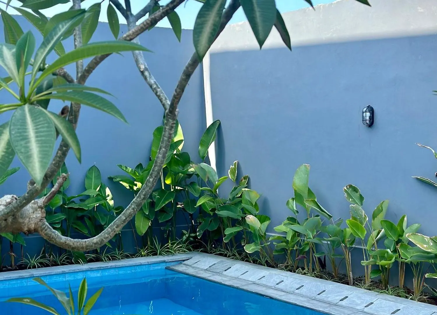Villa In Seminyak Villa Mitra Dua Ricefield View Relax Kerobokan